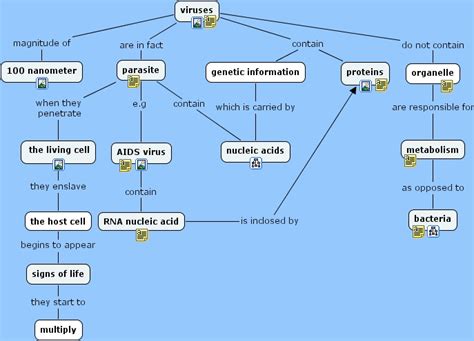 Bacteria And Viruses Concept Map Answers