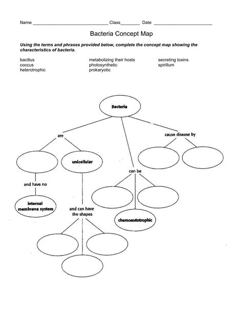 Bacteria Concept Map Answers