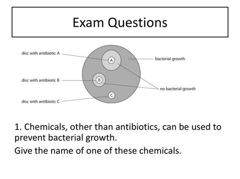 bacteria exam questions