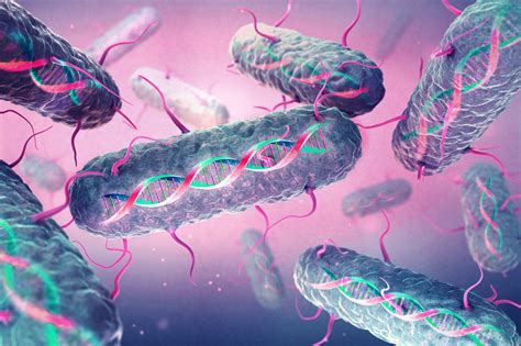 Bacteria Latest Research And News Nature Science Germs - Science Germs
