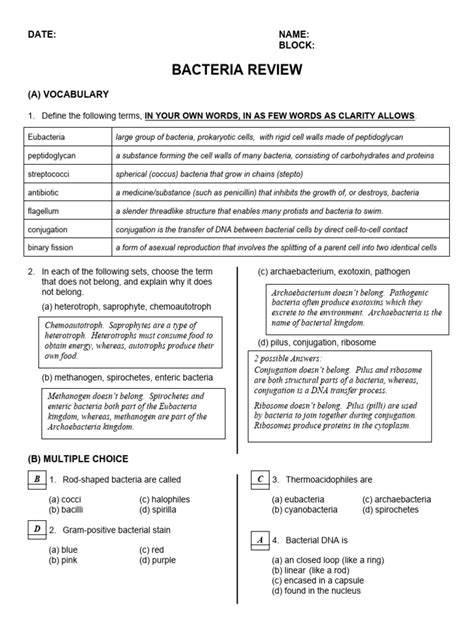 Bacteria Review Answer Key Modern Biology