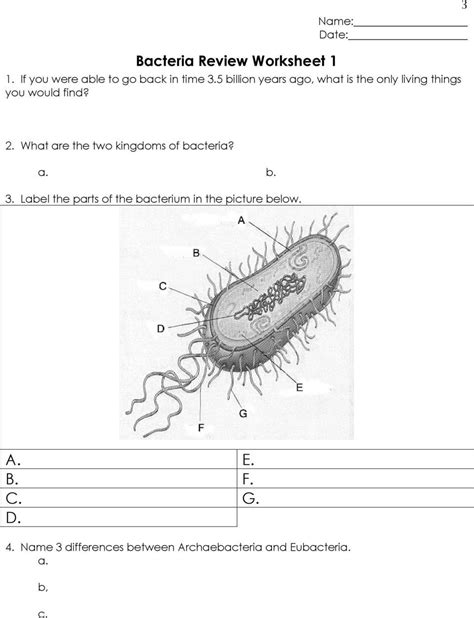Bacteria Transformation Activity Teachengineering Bacteria Worksheet Answers - Bacteria Worksheet Answers