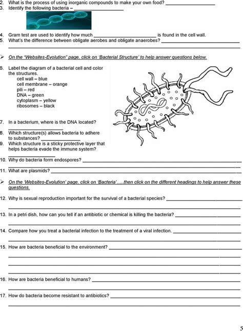 Bacteria Typical Monerans Worksheet Answers Pdf Free Download Bacteria Typical Monerans Worksheet Answers - Bacteria Typical Monerans Worksheet Answers