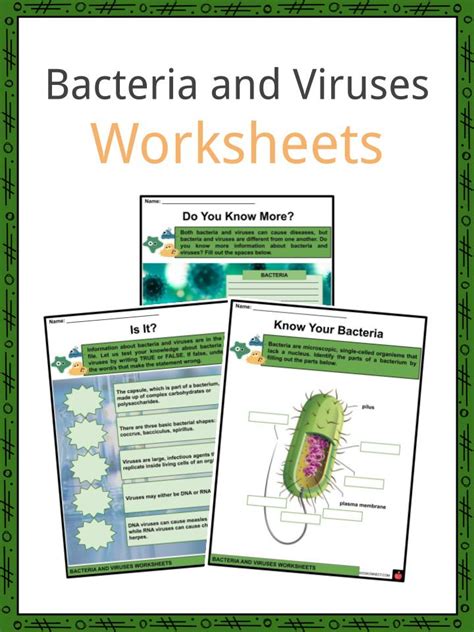 Bacteria Virus And Bacteria Worksheet St Clair County Bacteria Worksheet Answers - Bacteria Worksheet Answers