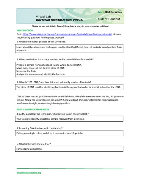 Bacterial Identification Lab Worksheet Answers Bacterial Identification Lab Worksheet Answers - Bacterial Identification Lab Worksheet Answers