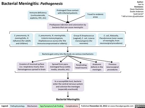 bacterial meningitis how is it spread