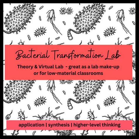 Bacterial Transformation Virtual Lab Classzone Answers