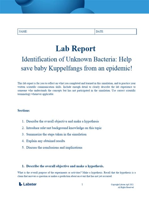 Bacterial Unknown Lab Report