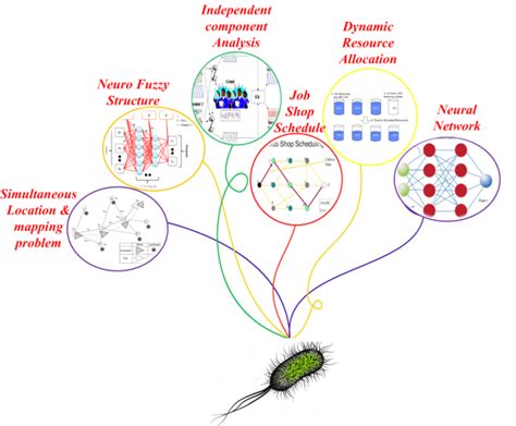 Read Bacterial Foraging Optimization Algorithm For Neural 