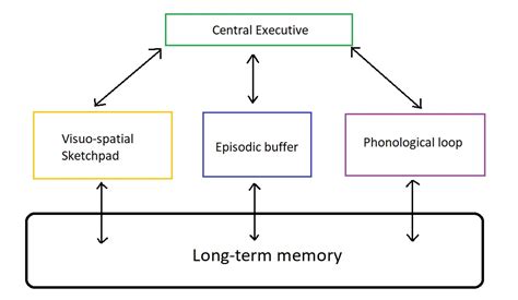 Baddeley's Model Of Memory