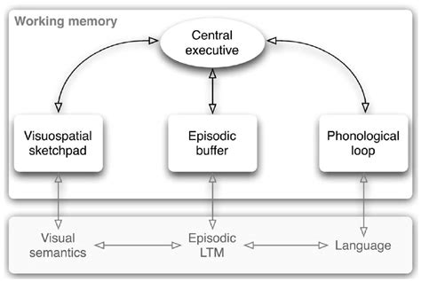 Baddeleys Working Memory Model