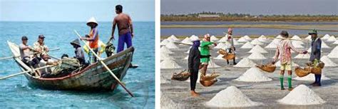 bagaimana aktivitas ekonomi penduduk di wilayah pesisir