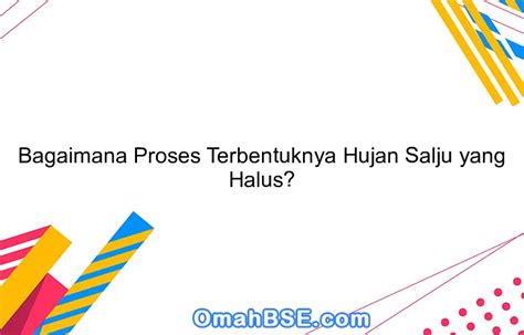 BAGAIMANA PROSES TERBENTUKNYA SALJU - Tuliskan proses perubahan wujud pada pembentukan s