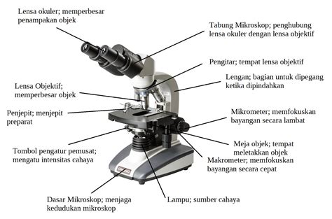 bagian bagian mikroskop dan fungsinya