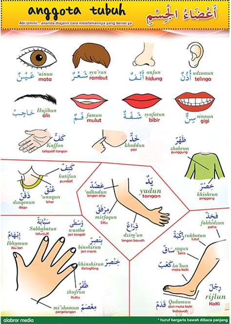 bahasa arab mata kaki