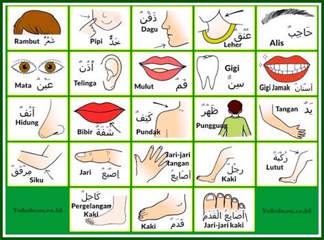 bahasa arabnya klinik