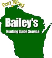 Full Download Bailey Guide Service 