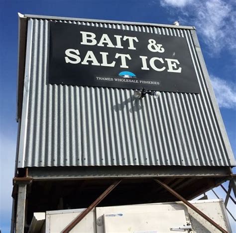 bait Thames Wholesale Fisheries