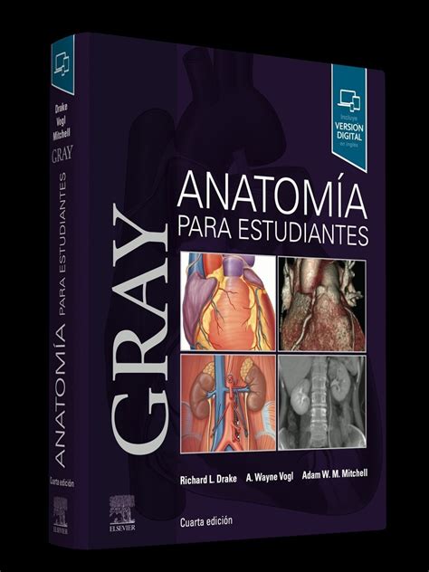 Download Baixar Anatomia Gray 