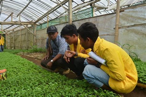 Baju Jurusan Pertanian  Gelar Praktik Kerja Lapang Di Jawa Tengah Faperta - Baju Jurusan Pertanian