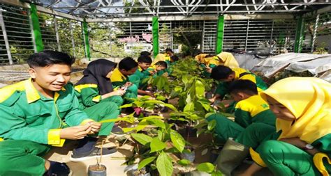 Baju Jurusan Pertanian Smk  Mengenal Kompetensi Keahlian Di Smk Pp Negeri Padang - Baju Jurusan Pertanian Smk