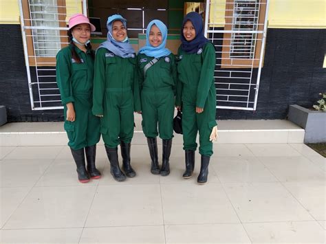 Baju Pkl  Mahasiswa Ugm Praktek Kerja Di Padang Mengatas - Baju Pkl