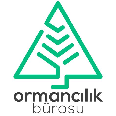 Bakış Açısı Nedir