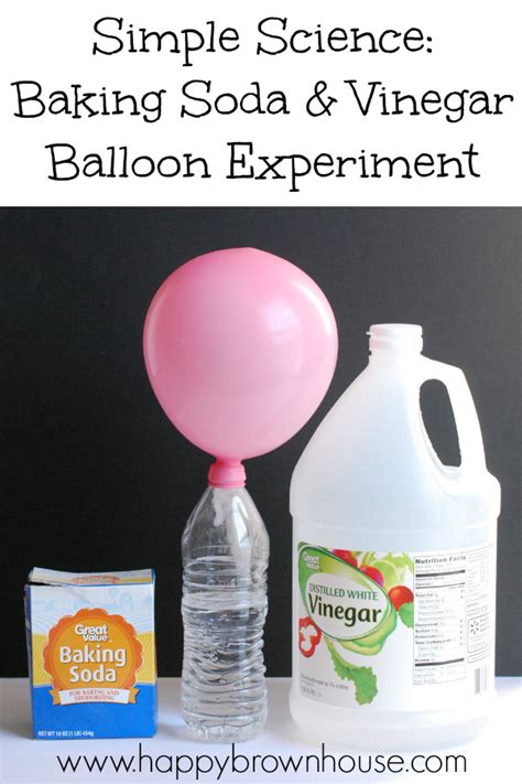 Baking Soda And Vinegar Balloon Experiment Science Balloon Experiment - Science Balloon Experiment