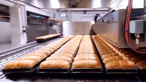 Read Online Baking Technology Breadmaking 
