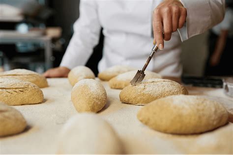 Read Baking Technology Breadmaking 