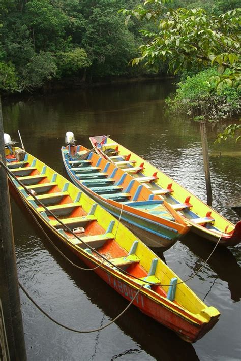 Balade En Guyane