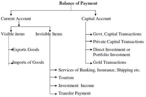 Balance Of Payment Class 12