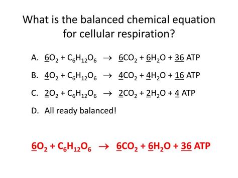 Balanced Equation For Cellular Respiration