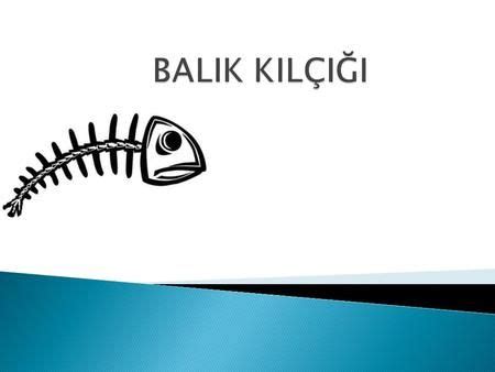 Balık Kılçığı Tekniği