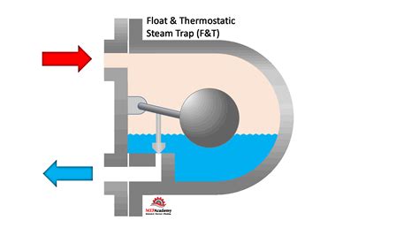 ball float steam trap pdf