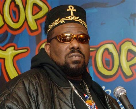 bambaataa biography