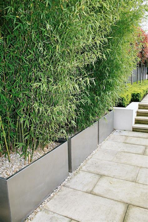 Bamboo Privacy Fence Planters