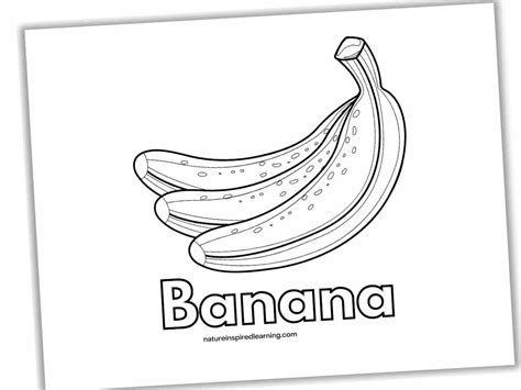 Banana Coloring Pages Nature Inspired Learning Printable Picture Of Banana - Printable Picture Of Banana