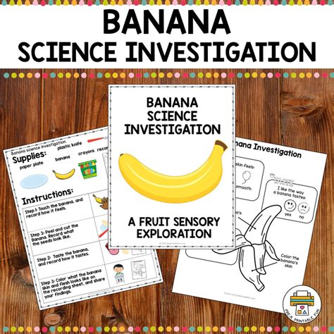 Banana Preschool Science Activities Pre K Printable Fun Banana Science Experiment - Banana Science Experiment