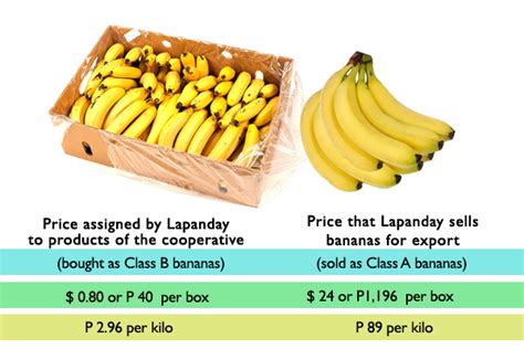 Banana Prices To Go Up As Temperatures Rise Tsunamis Science - Tsunamis Science