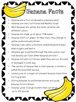 Banana Science Experiment By Mrs School Teacher Tpt Banana Science Experiment - Banana Science Experiment