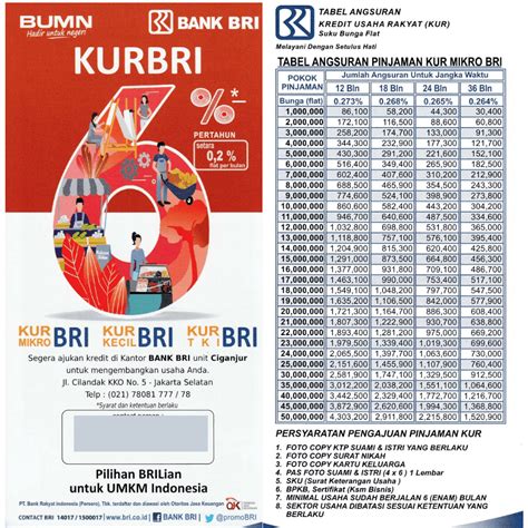 BANK BRI KUR：Info Cicilan KUR BRI Desember 2024 Pinjam Rp 200 Juta-Rp 250 Juta