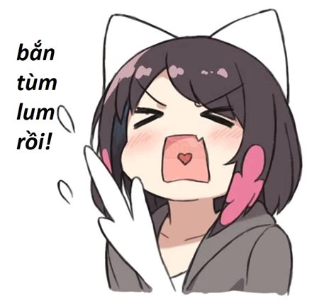 bantumlum | Thoitrang bantumlum Webmaster at Bantumlum LinkedIn