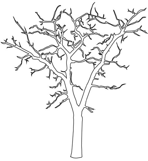 Bare Tree Coloring Page Worksheets 99worksheets Bare Tree Coloring Page - Bare Tree Coloring Page