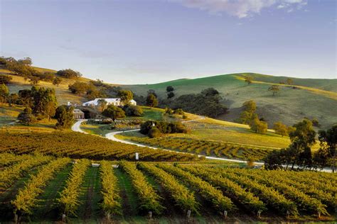 Barossa Valley Export Nyt