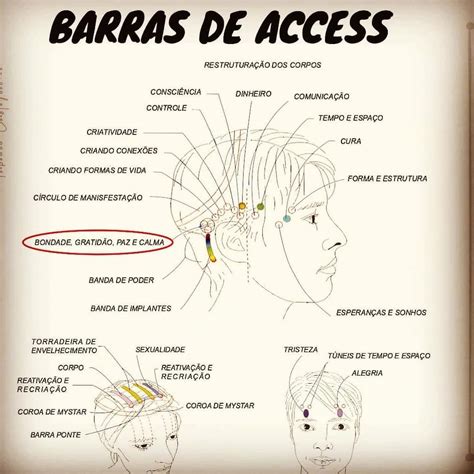 Barras De Access