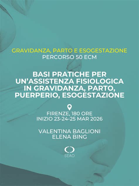 Basi Pratiche Di Html Per Principianti