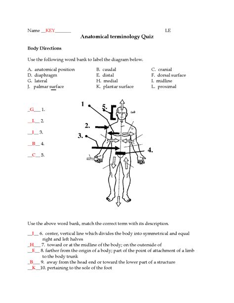 Basic Anatomical Terminology Quiz