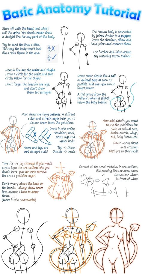 Basic Anatomy For Manga