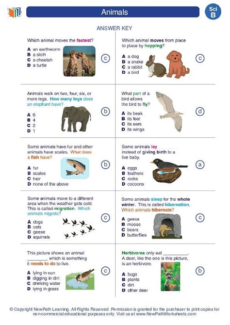 Basic Animal Science Flashcards Quizlet Basic Animal Science Worksheet - Basic Animal Science Worksheet
